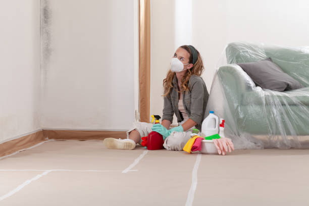 Reliable Mold Remediation contractor in Fanwood, NJ by Cheap Mold Removal